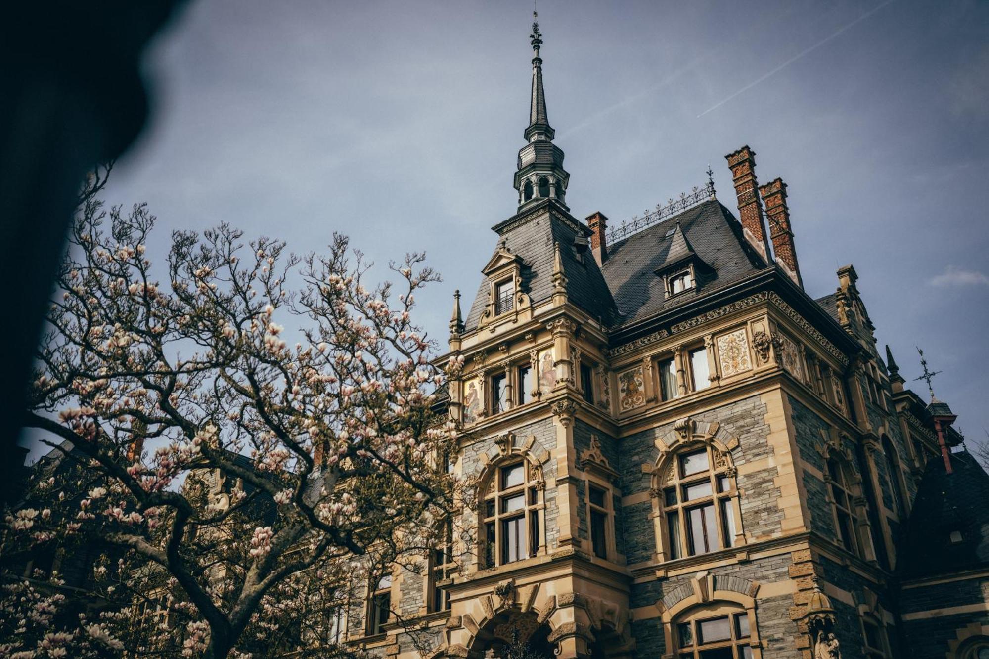 Schloss Lieser, Autograph Collection Екстер'єр фото The University of Lorraine